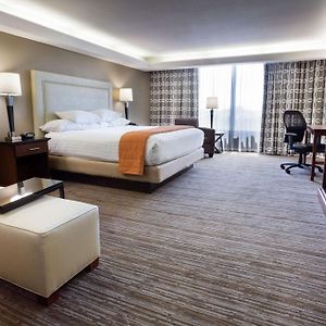 Superior King Room Sofa Bed